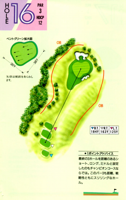 エースゴルフ場 IN16番ホール コース図