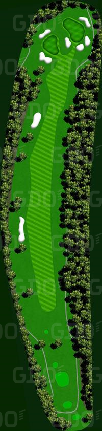 狭山ゴルフ・クラブ 南5番ホール コース図