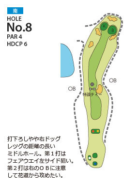 大多喜カントリークラブ 南8番ホール コース図