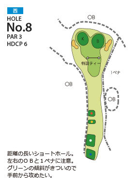 大多喜カントリークラブ 西8番ホール コース図