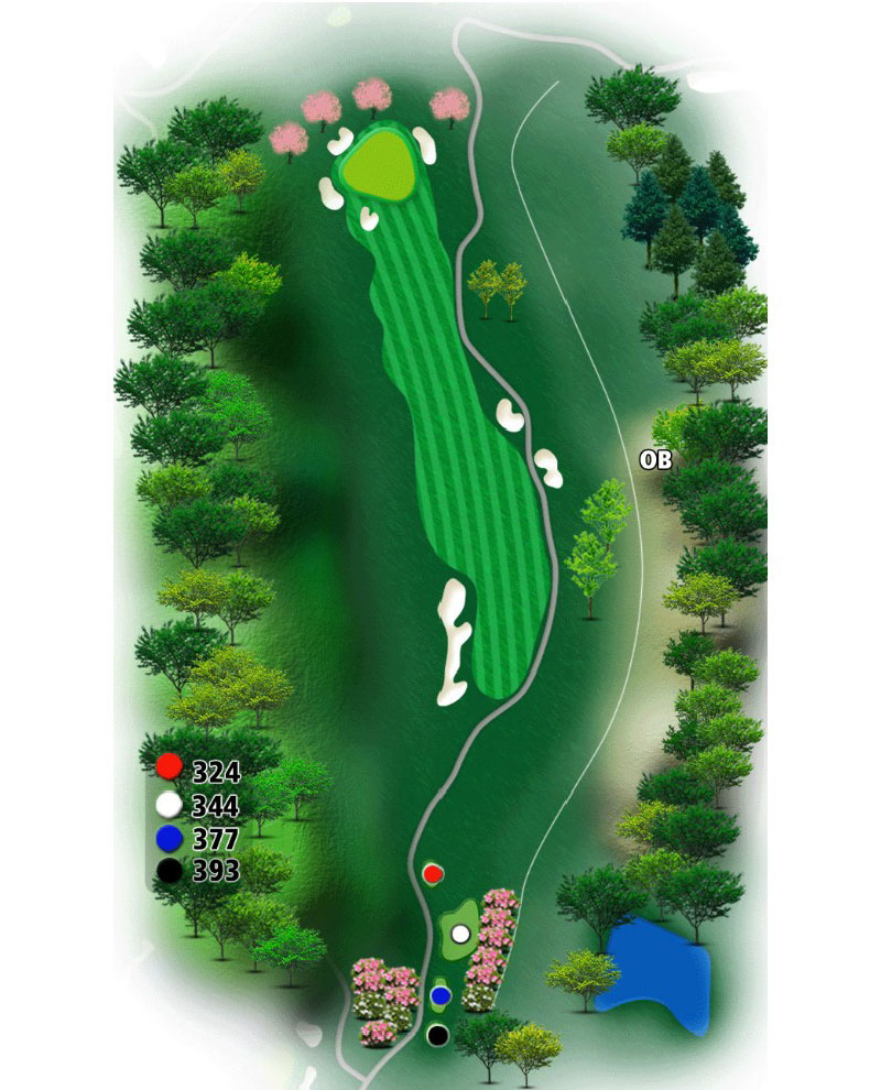 ゴールド福井カントリークラブ IN10番ホール コース図