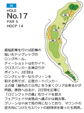 関西空港ゴルフ倶楽部 IN17番ホール コース図
