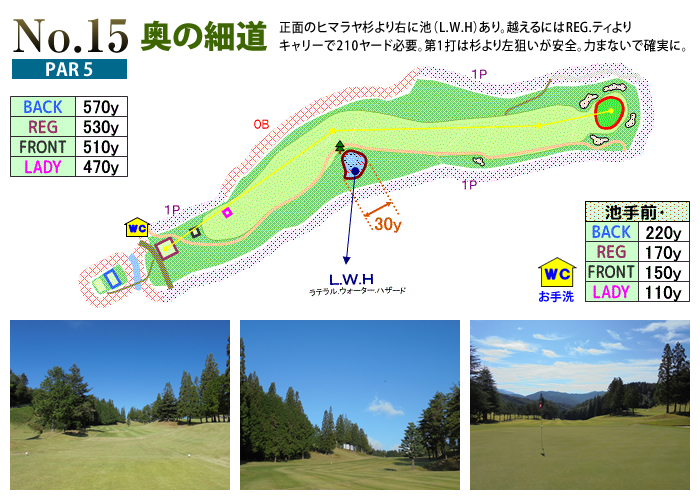 下呂カントリークラブ IN15番ホール コース図