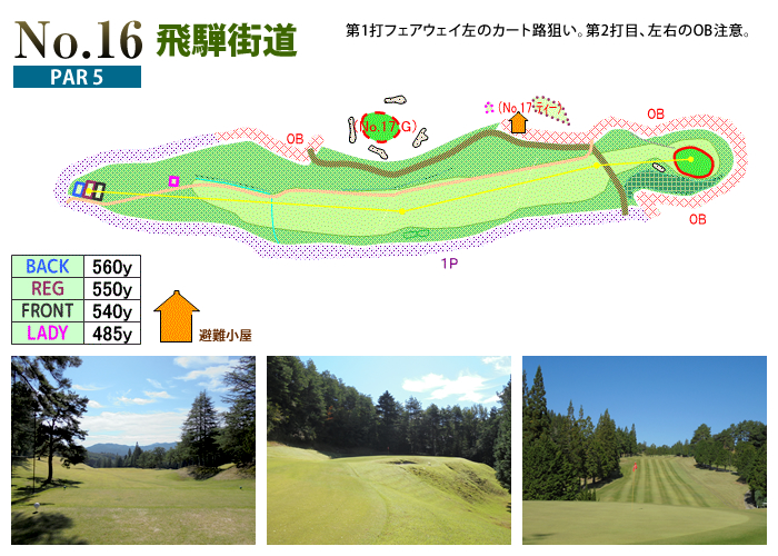 下呂カントリークラブ IN16番ホール コース図