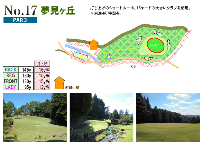 下呂カントリークラブ IN17番ホール コース図