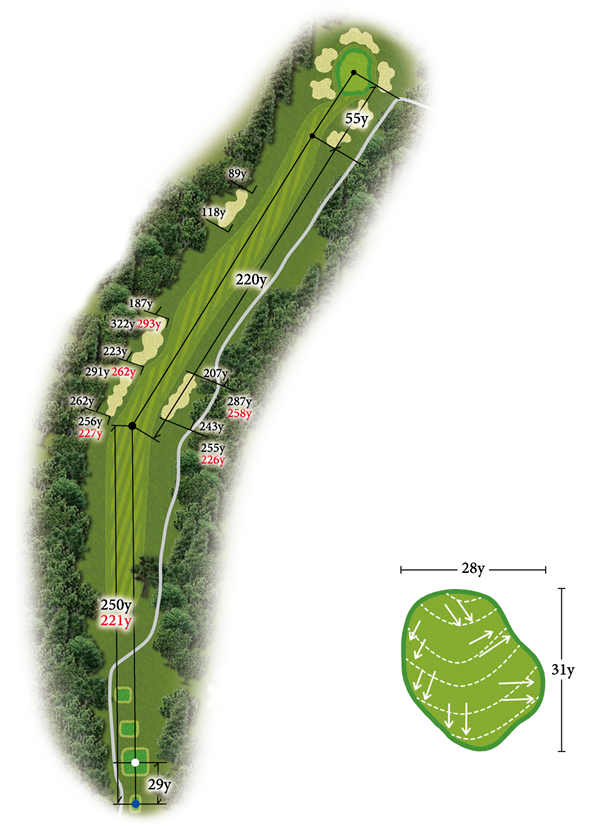 広島カンツリー倶楽部 八本松コース IN12番ホール コース図