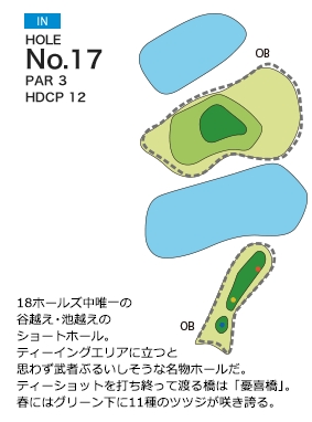 大山アークカントリークラブ IN17番ホール コース図