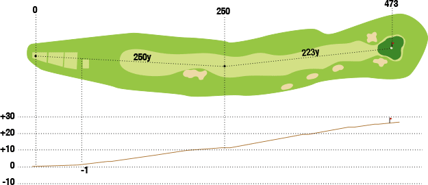 豊田カントリー倶楽部 IN18番ホール コース図