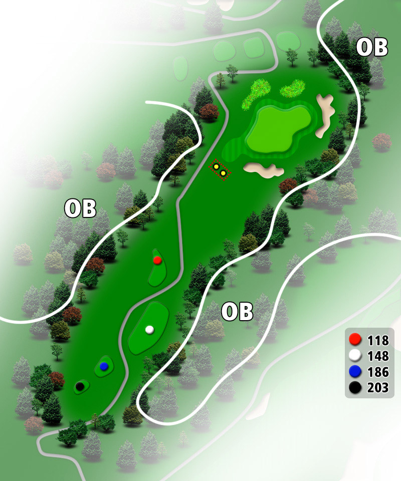 ＴＯＳＨＩＮ Ｇｏｌｆ Ｃｌｕｂ Ｃｅｎｔｒａｌ Ｃｏｕｒｓｅ（トーシンゴルフクラブセントラルコース） IN17番ホール コース図