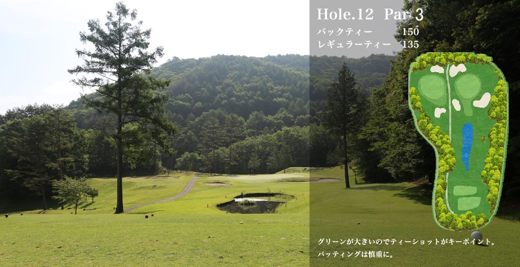木曽カントリー倶楽部 IN12番ホール コース図