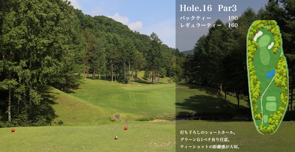 木曽カントリー倶楽部 IN16番ホール コース図