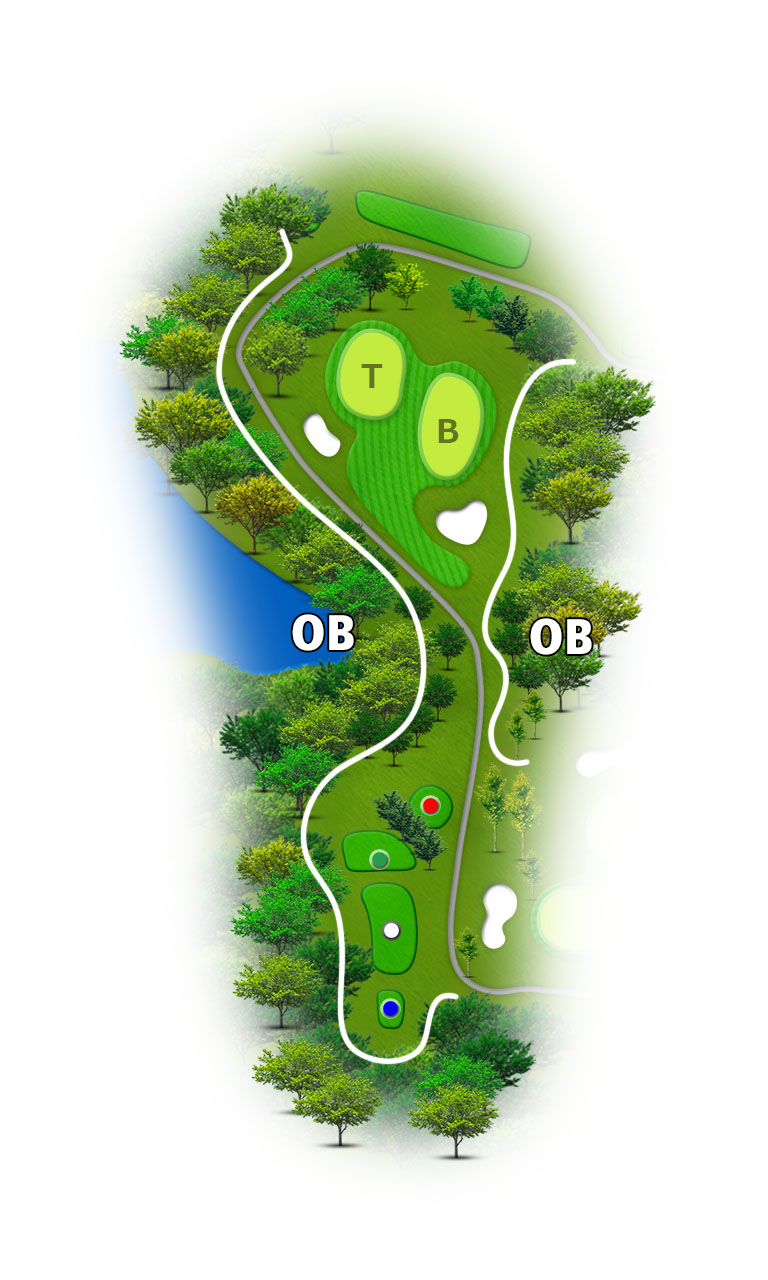 美濃関カントリークラブ IN17番ホール コース図