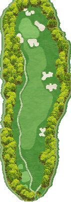 フォレストカントリークラブ三井の森 OUT3番ホール コース図