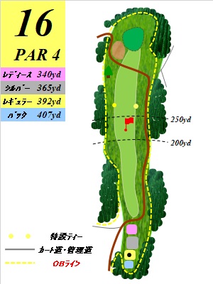 ジャパンセントラルゴルフ倶楽部 IN16番ホール コース図