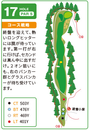 吉川カントリー倶楽部 IN17番ホール コース図