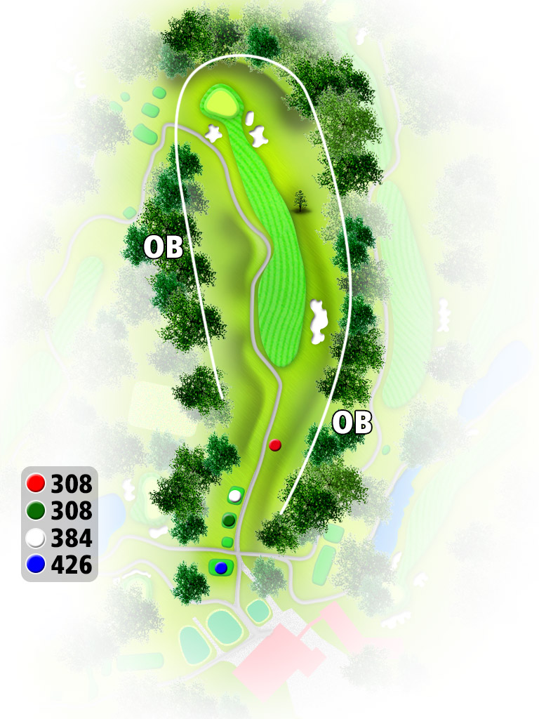 成田東カントリークラブ IN10番ホール コース図
