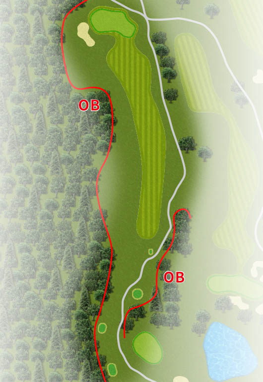 ＣＹＫＡＮ Ｗｉｎｎｅｒ'ｓ ＧＯＬＦ ＣＬＵＢ（旧：ＷＩＴＨＩＮ ＳＴＹＬＥ ＧＯＬＦ ＣＬＵＢ ） IN12番ホール コース図