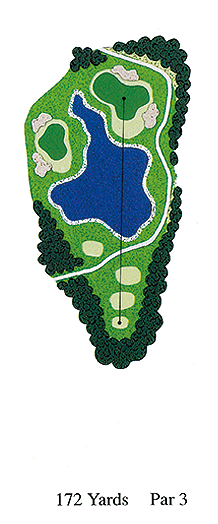ニューブラッサムガーデンクラブ OUT7番ホール コース図