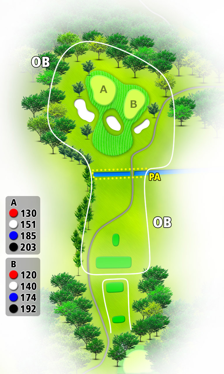 セントラルゴルフクラブ 西IN16番ホール コース図