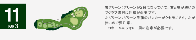 ジャパンクラシックカントリー倶楽部 キングIN11番ホール コース図