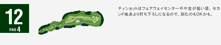 ジャパンクラシックカントリー倶楽部 キングIN12番ホール コース図