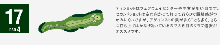ジャパンクラシックカントリー倶楽部 キングIN17番ホール コース図