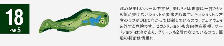 ジャパンクラシックカントリー倶楽部 キングIN18番ホール コース図