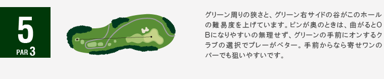 ジャパンクラシックカントリー倶楽部 キングOUT5番ホール コース図