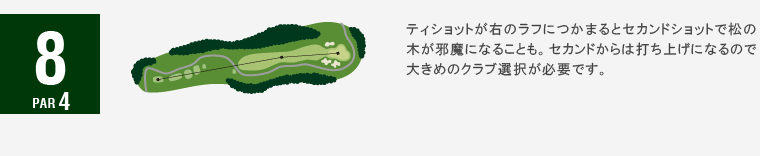 ジャパンクラシックカントリー倶楽部 キングOUT8番ホール コース図