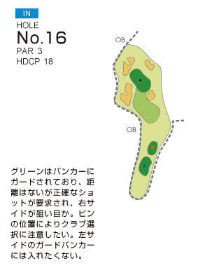 ニューキャピタルゴルフ倶楽部 IN16番ホール コース図