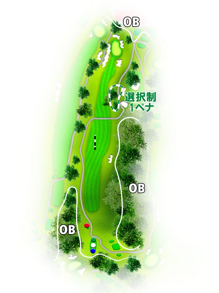 大新潟カントリークラブ 三条コース IN18番ホール コース図