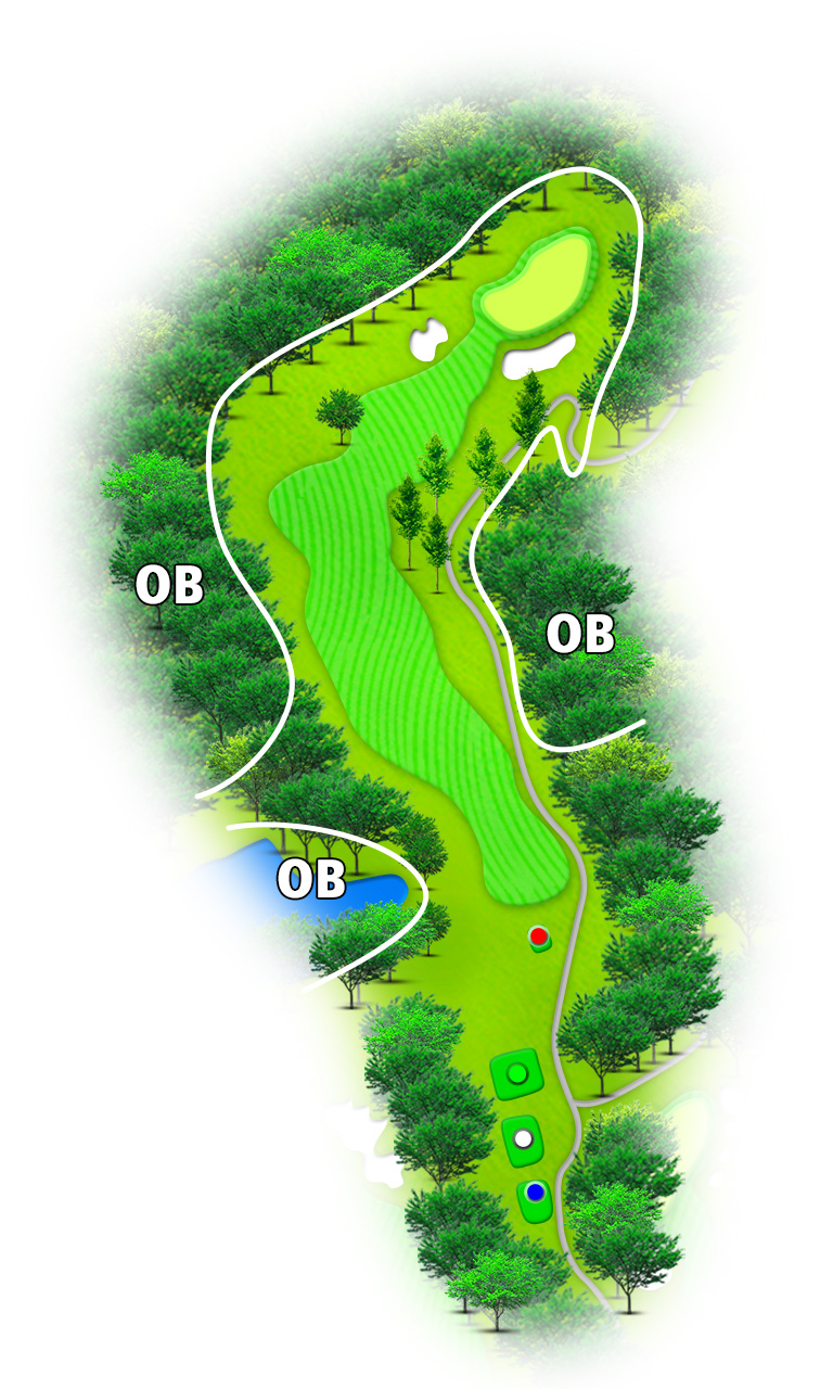 佐原カントリークラブ IN17番ホール コース図