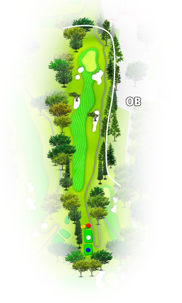 沖縄カントリークラブ IN18番ホール コース図