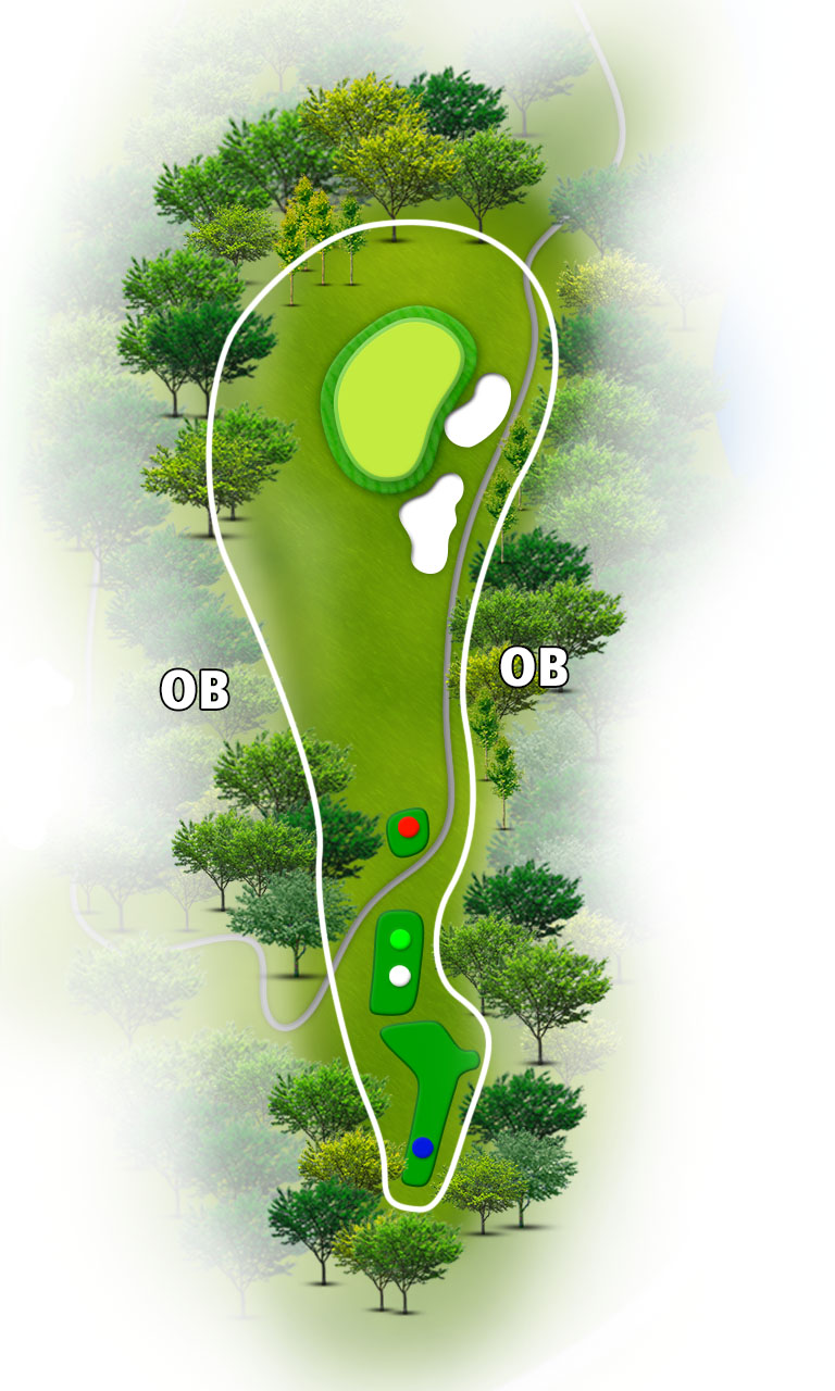 白竜湖カントリークラブ IN17番ホール コース図