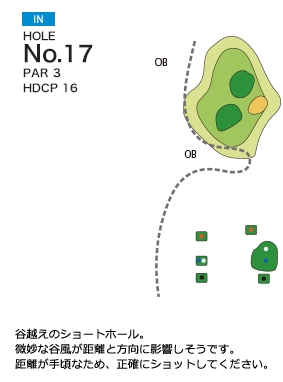 岡部チサンカントリークラブ 美里IN8番ホール コース図