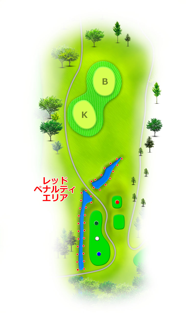 ノーザンカントリークラブ 錦ヶ原ゴルフ場 IN13番ホール コース図