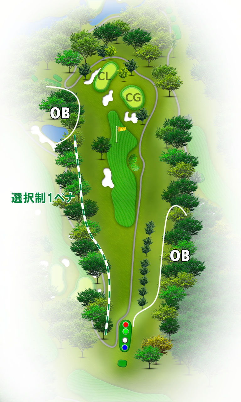 スカイウェイカントリークラブ IN11番ホール コース図