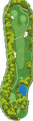 トライアルゴルフ＆リゾート ＯＩＴＡ ＣＯＵＲＳＥ（旧：大分東急ゴルフクラブ） IN17番ホール コース図
