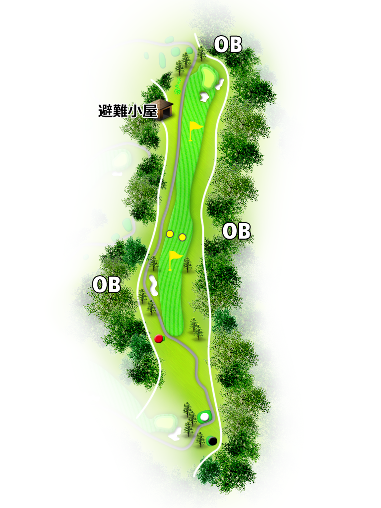 ディアレイク・カントリー倶楽部 IN11番ホール コース図