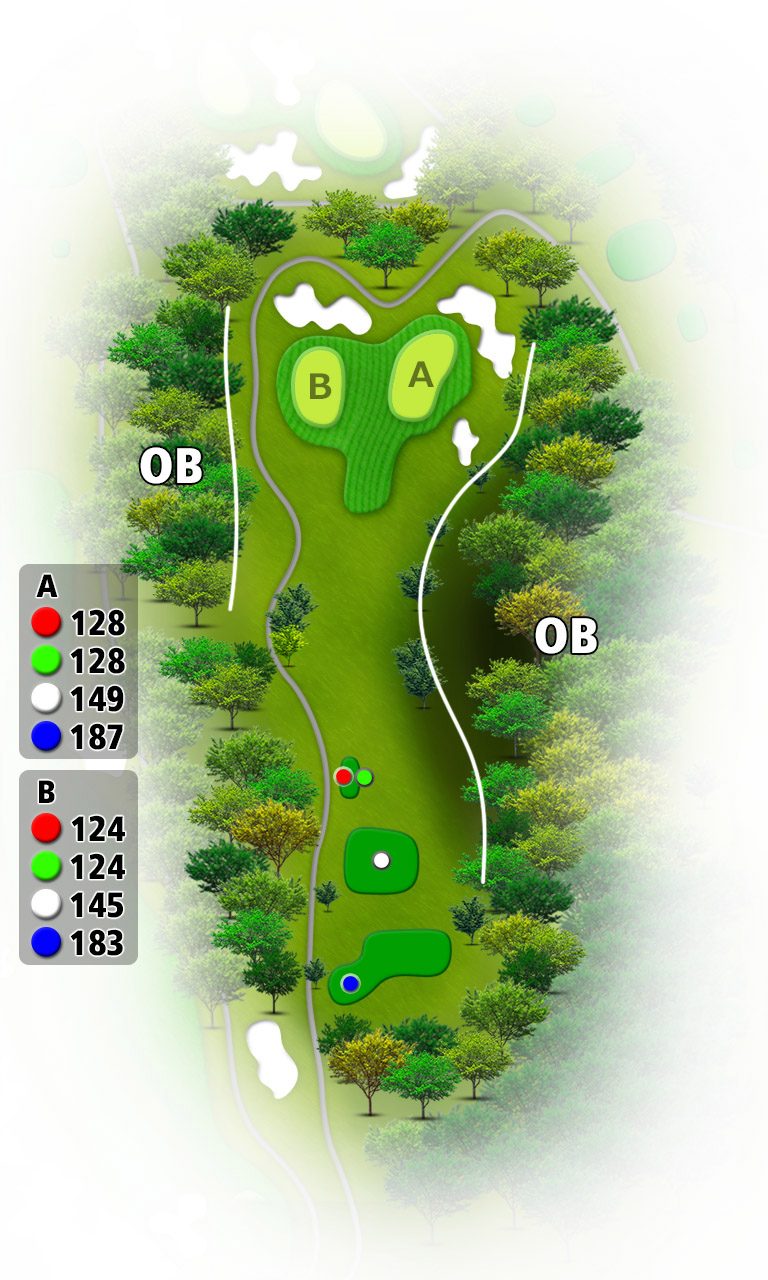 かずさカントリークラブ 富士8番ホール コース図