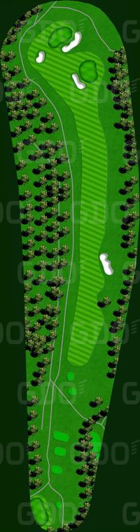 琵琶湖カントリー倶楽部 琵琶湖8番ホール コース図