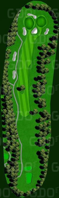 鎌ヶ谷カントリークラブ 西8番ホール コース図