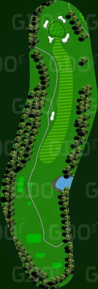 平尾カントリークラブ 西8番ホール コース図
