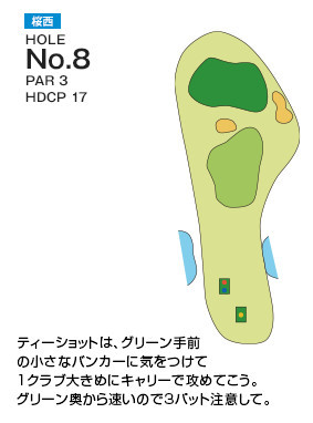 千葉国際カントリークラブ 桜西8番ホール コース図