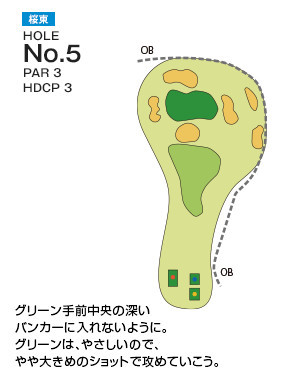 千葉国際カントリークラブ 桜東5番ホール コース図