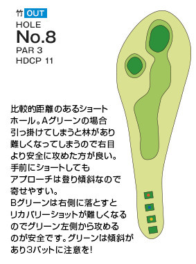 千葉国際カントリークラブ 竹OUT8番ホール コース図