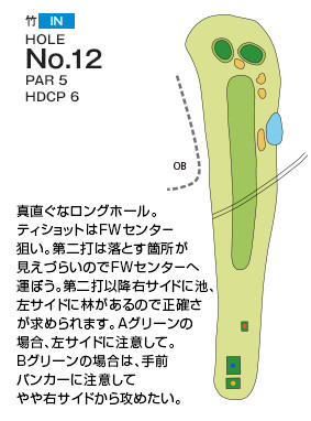 千葉国際カントリークラブ 竹IN12番ホール コース図