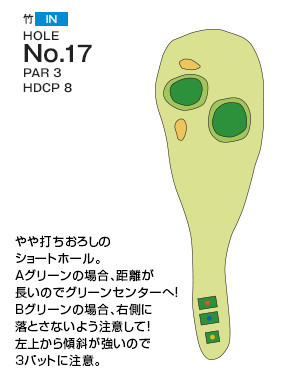 千葉国際カントリークラブ 竹IN17番ホール コース図
