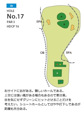 大分富士見カントリー倶楽部 IN17番ホール コース図