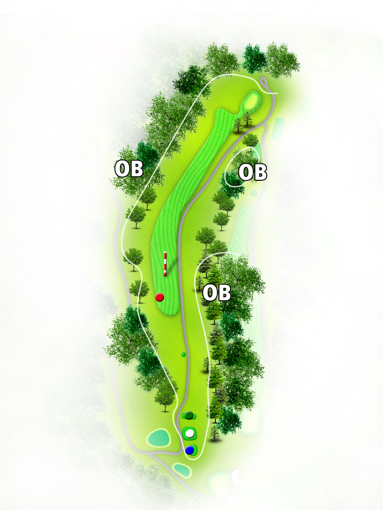 菊池カントリークラブ IN10番ホール コース図